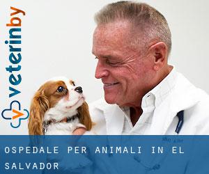 Ospedale per animali in El Salvador