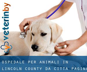Ospedale per animali in Lincoln County da città - pagina 1