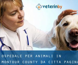 Ospedale per animali in Montour County da città - pagina 1