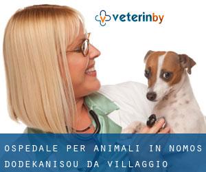 Ospedale per animali in Nomós Dodekanísou da villaggio - pagina 1