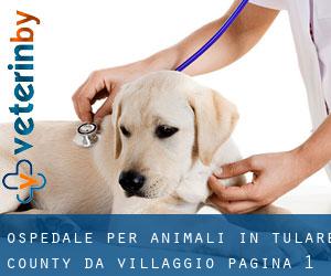 Ospedale per animali in Tulare County da villaggio - pagina 1