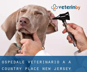 Ospedale Veterinario a A Country Place (New Jersey)