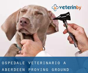 Ospedale Veterinario a Aberdeen Proving Ground