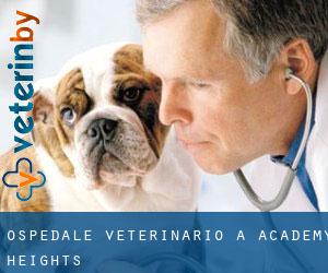 Ospedale Veterinario a Academy Heights
