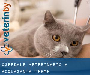 Ospedale Veterinario a Acquasanta Terme