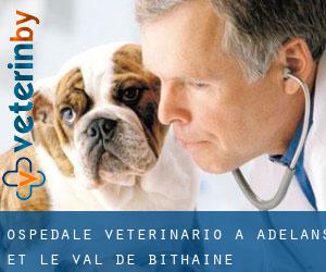 Ospedale Veterinario a Adelans-et-le-Val-de-Bithaine