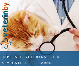 Ospedale Veterinario a Advocate Hill Farms