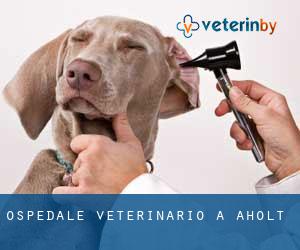 Ospedale Veterinario a Aholt