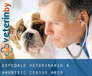 Ospedale Veterinario a Ahuntsic (census area)