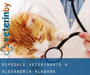 Ospedale Veterinario a Alexandria (Alabama)