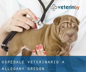 Ospedale Veterinario a Allegany (Oregon)