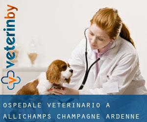 Ospedale Veterinario a Allichamps (Champagne-Ardenne)