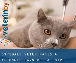 Ospedale Veterinario a Allonnes (Pays de la Loire)