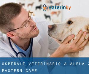 Ospedale Veterinario a Alpha (2) (Eastern Cape)