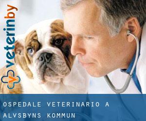 Ospedale Veterinario a Älvsbyns Kommun Ospedale Veterinario a Älvsbyns Kommun