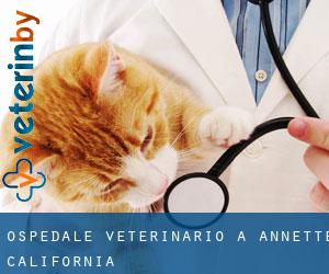 Ospedale Veterinario a Annette (California)