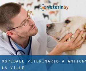 Ospedale Veterinario a Antigny-la-Ville