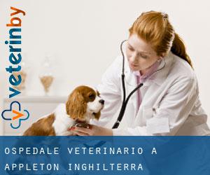 Ospedale Veterinario a Appleton (Inghilterra)