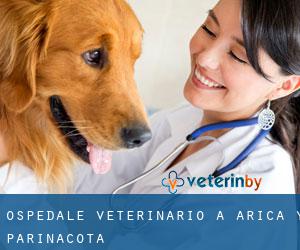 Ospedale Veterinario a Arica y Parinacota