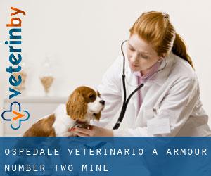 Ospedale Veterinario a Armour Number Two Mine