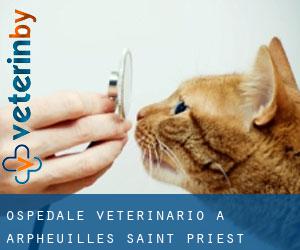 Ospedale Veterinario a Arpheuilles-Saint-Priest