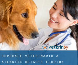 Ospedale Veterinario a Atlantic Heights (Florida)