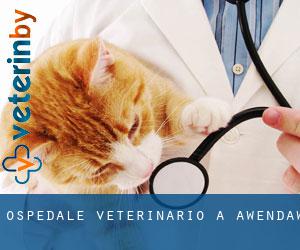 Ospedale Veterinario a Awendaw
