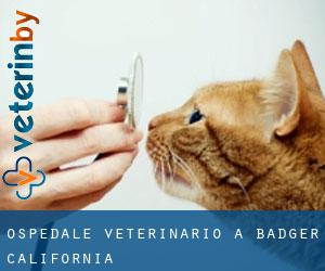 Ospedale Veterinario a Badger (California)
