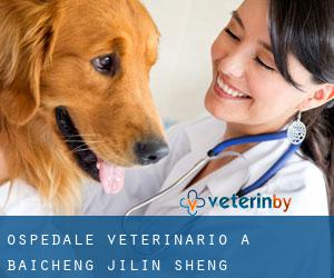 Ospedale Veterinario a Baicheng (Jilin Sheng)