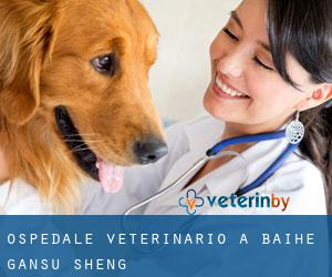 Ospedale Veterinario a Baihe (Gansu Sheng)