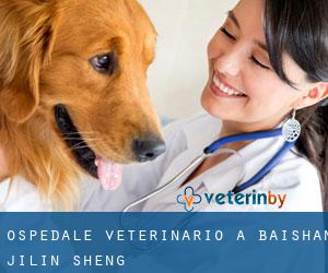 Ospedale Veterinario a Baishan (Jilin Sheng)