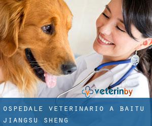 Ospedale Veterinario a Baitu (Jiangsu Sheng)