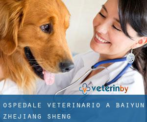 Ospedale Veterinario a Baiyun (Zhejiang Sheng)