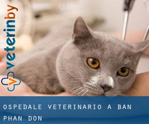 Ospedale Veterinario a Ban Phan Don