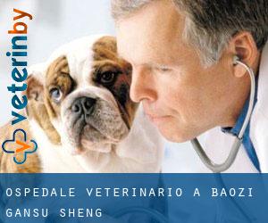 Ospedale Veterinario a Baozi (Gansu Sheng)