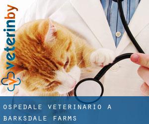 Ospedale Veterinario a Barksdale Farms