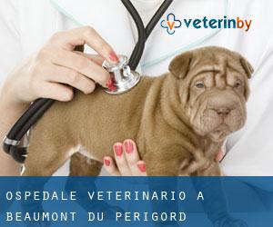 Ospedale Veterinario a Beaumont-du-Périgord