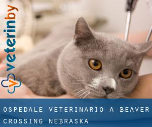 Ospedale Veterinario a Beaver Crossing (Nebraska)