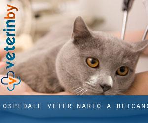 Ospedale Veterinario a Beicang Ospedale Veterinario a Beicang