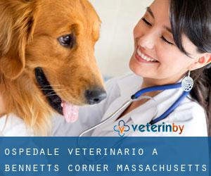 Ospedale Veterinario a Bennetts Corner (Massachusetts)