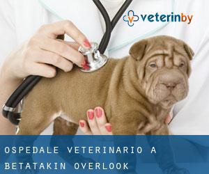 Ospedale Veterinario a Betatakin Overlook