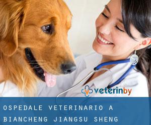 Ospedale Veterinario a Biancheng (Jiangsu Sheng)