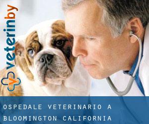 Ospedale Veterinario a Bloomington (California)
