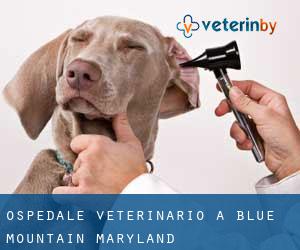 Ospedale Veterinario a Blue Mountain (Maryland)