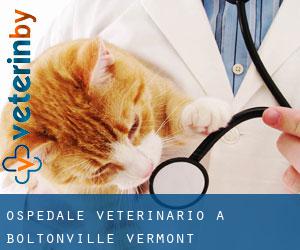 Ospedale Veterinario a Boltonville (Vermont)
