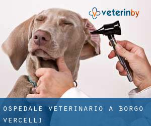 Ospedale Veterinario a Borgo Vercelli