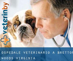 Ospedale Veterinario a Bretton Woods (Virginia)
