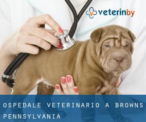 Ospedale Veterinario a Browns (Pennsylvania)