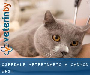 Ospedale Veterinario a Canyon West