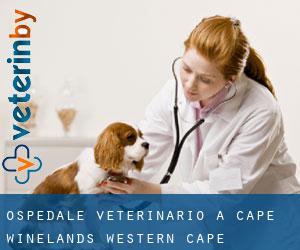 Ospedale Veterinario a Cape Winelands (Western Cape)
